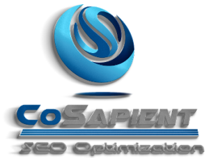 CoSapient Search Engine Optimization 3D logo